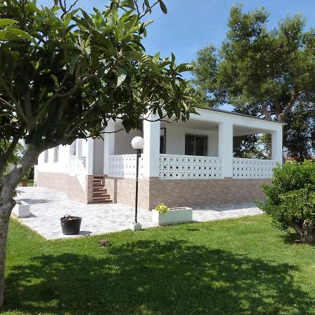 Chalet Verde Tavernes de Valldigna Dış mekan fotoğraf