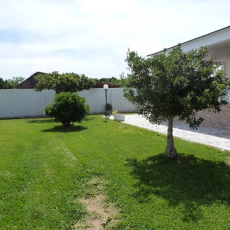 Chalet Verde Tavernes de Valldigna Dış mekan fotoğraf