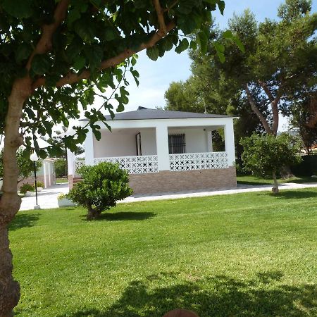 Chalet Verde Tavernes de Valldigna Dış mekan fotoğraf
