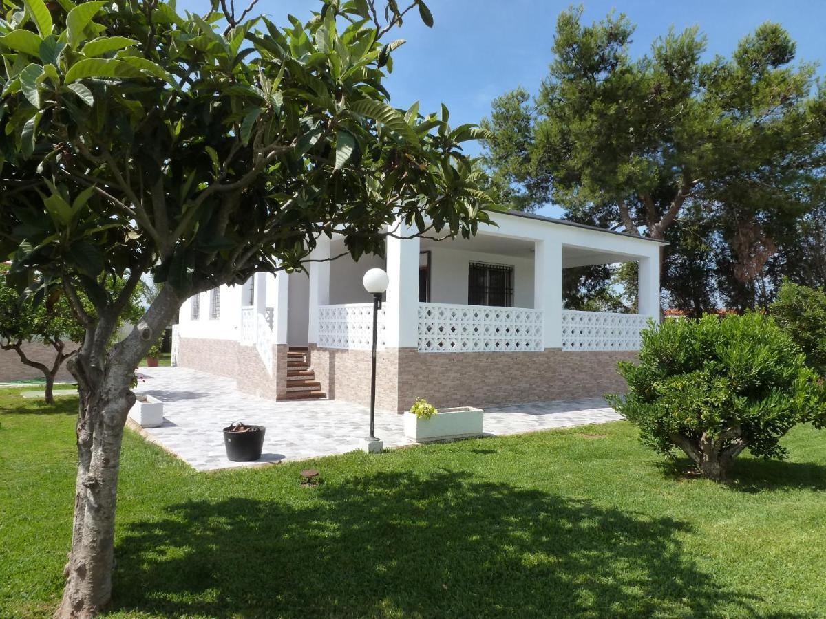 Chalet Verde Tavernes de Valldigna Dış mekan fotoğraf